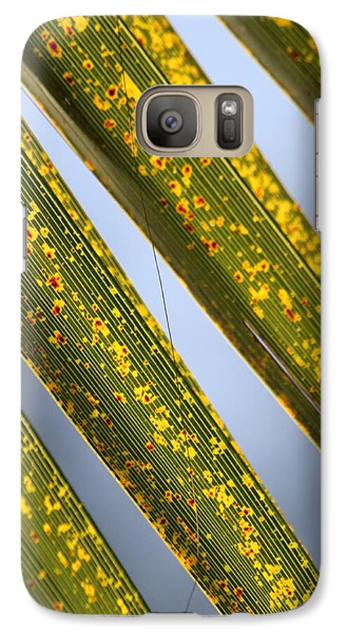 Palm Frawns Galaxy S7 Case featuring the photograph Dappled Light by Amy Gallagher