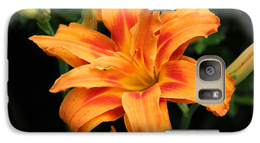 Flowers Galaxy S7 Case featuring the photograph Day Lily by Janet Greer Sammons