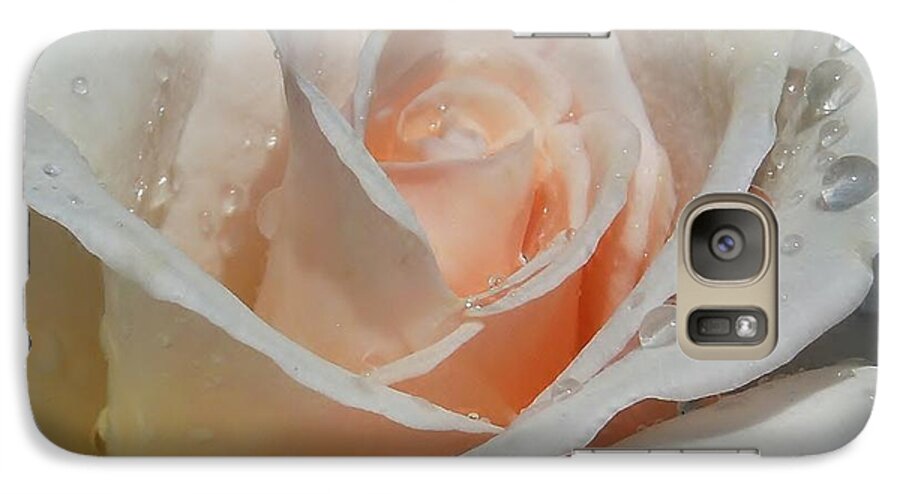 Rose Galaxy S7 Case featuring the photograph Delicate Pink Rose With Rain Drops by Chad and Stacey Hall