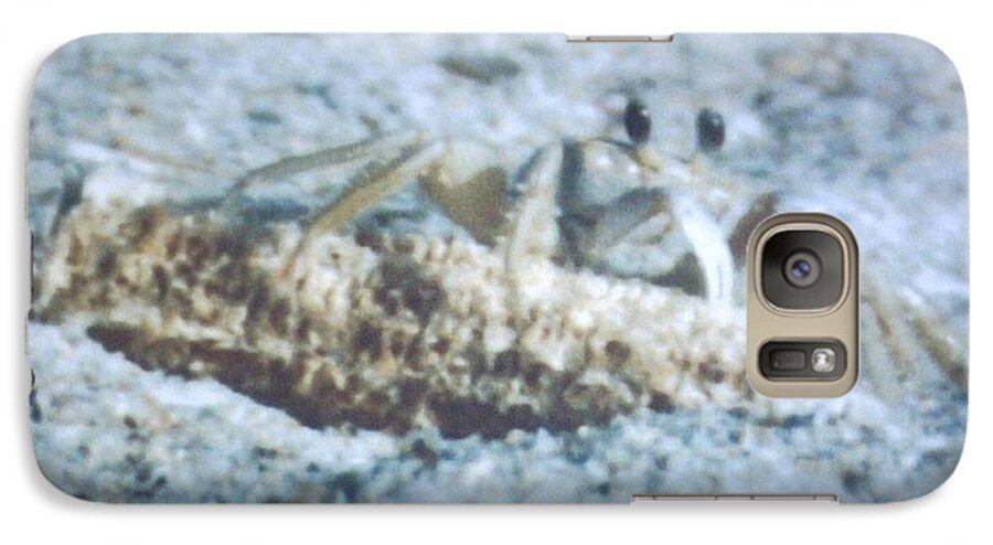 #crab #beachtime #corncob #springtime #floridafun Galaxy S7 Case featuring the photograph Beach Crab Snacking by Belinda Lee