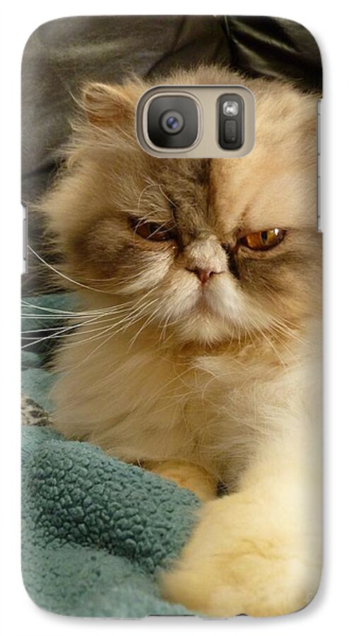 Cat Galaxy S7 Case featuring the photograph Do I Look Amused? by Vicki Spindler