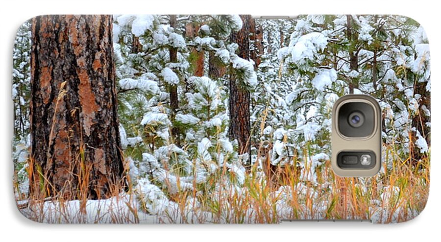 Pine Trees Galaxy S7 Case featuring the photograph Do You See Me by Clarice Lakota