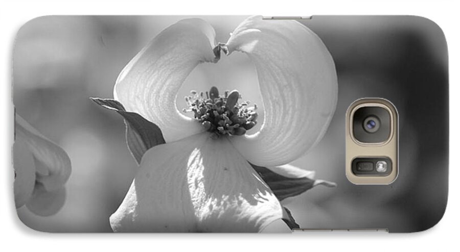 Dogwood Galaxy S7 Case featuring the photograph Dogwood Blossom by Tannis Baldwin