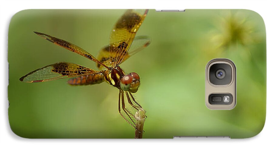 Dragonfly Galaxy S7 Case featuring the photograph Dragonfly 2 by Olga Hamilton