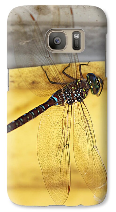 Dragonfly Galaxy S7 Case featuring the photograph Dragonfly Web by Melanie Lankford Photography