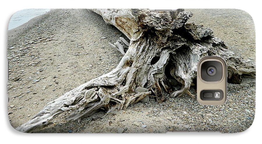 Flowers Galaxy S7 Case featuring the photograph Driftwood at Lake Erie by Kathy Barney