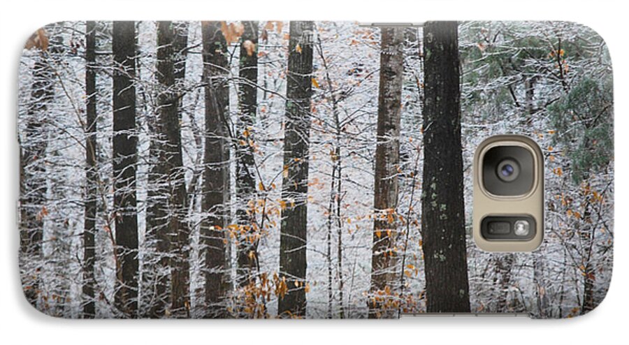 Ice Storm Galaxy S7 Case featuring the photograph Enchanted Forest by Linda Segerson