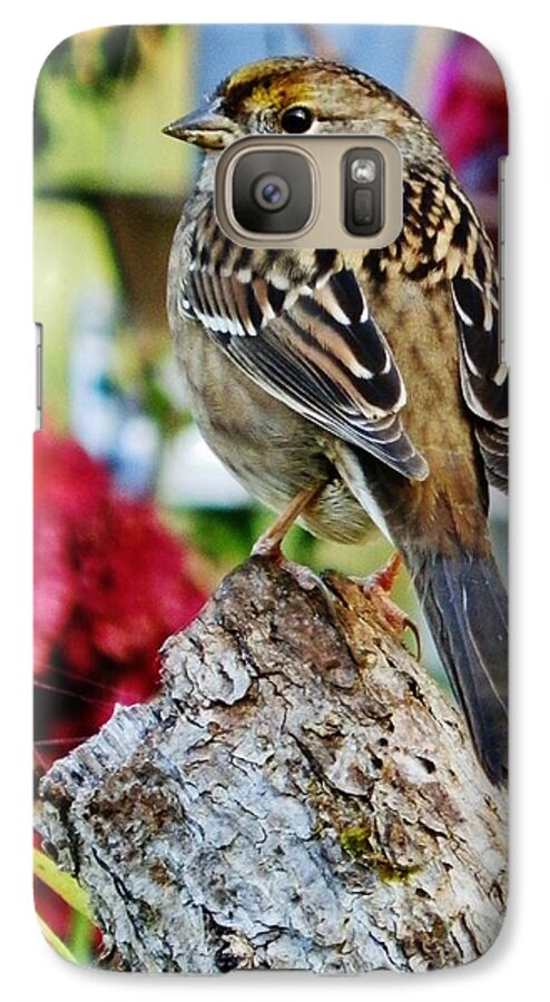 Bird Galaxy S7 Case featuring the photograph EYEING The SPARROW by VLee Watson