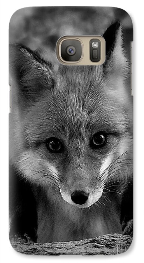 Red Fox Black And White Wildlife Animal Close-up Photo Nature Field Photography Photo B&w Eyes Face-to-face Nature Galaxy S7 Case featuring the photograph Face To Face by Adam Olsen