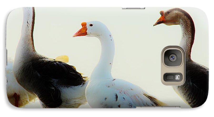 Geese Galaxy S7 Case featuring the photograph Farm Geese 2 by Lynda Dawson-Youngclaus
