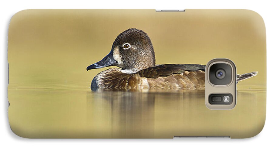 Duck Galaxy S7 Case featuring the photograph Female Ring necked duck by Bryan Keil