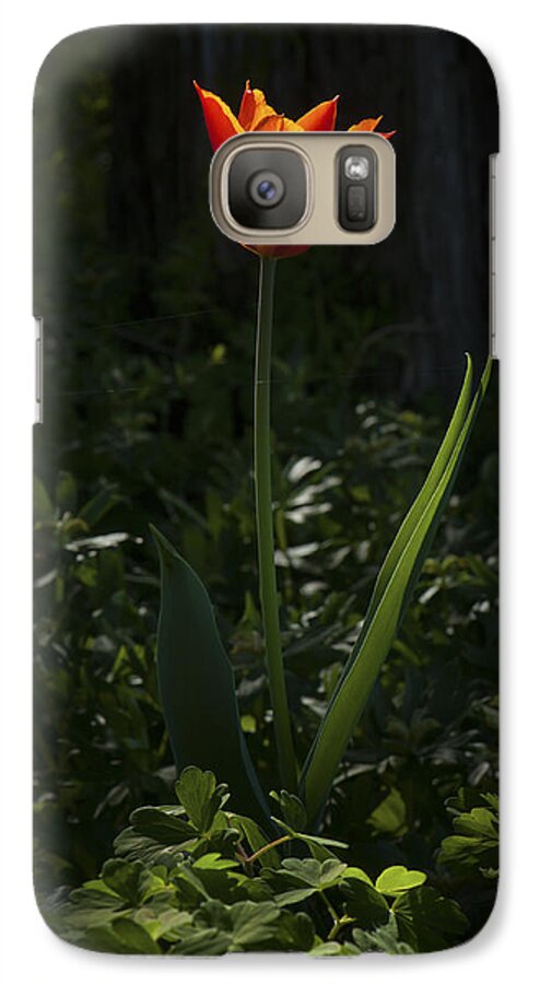 Flower Galaxy S7 Case featuring the photograph Fire in the Forest by Jim Moore