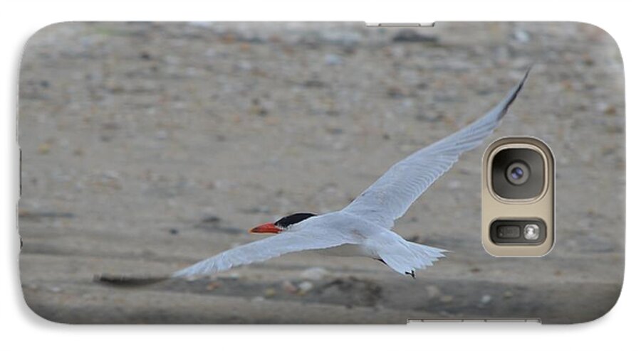 Birds Galaxy S7 Case featuring the photograph Flight by James Petersen