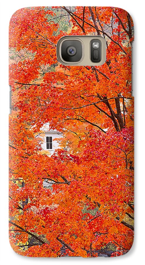 Fall Galaxy S7 Case featuring the photograph Foliage Window by Alan L Graham