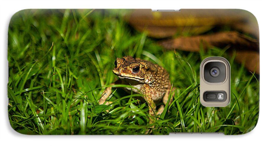 Frog Galaxy S7 Case featuring the photograph Froggie by Mike Lee