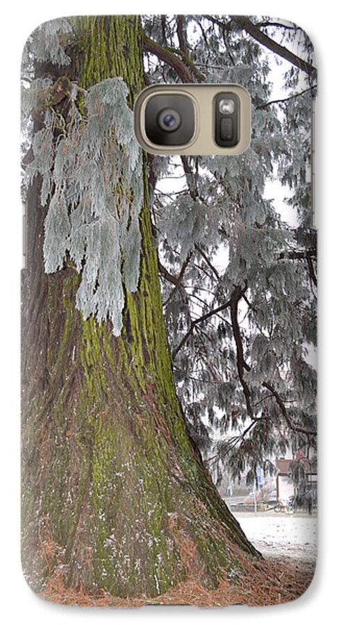 Nature Galaxy S7 Case featuring the photograph Frost on the leaves by Felicia Tica