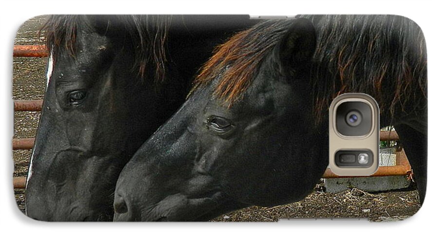 Horse Galaxy S7 Case featuring the photograph Gimme that Apple by Kathy Barney