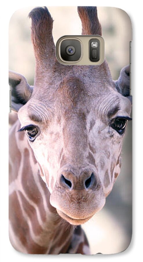 Giraffe Galaxy S7 Case featuring the photograph Giraffe Staring by Shoal Hollingsworth