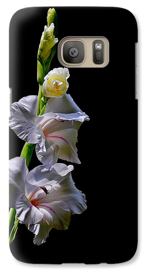 Flower Galaxy S7 Case featuring the photograph Gladiola #1 by Farol Tomson