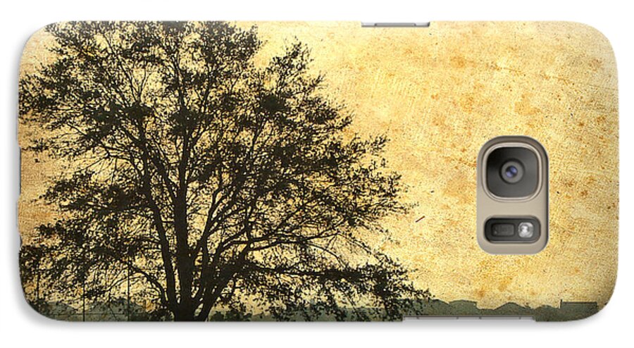 Tree Galaxy S7 Case featuring the photograph Golden Tree by Phil Mancuso