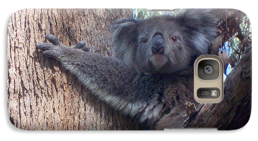 Koala Galaxy S7 Case featuring the photograph Good Morning by Evelyn Tambour