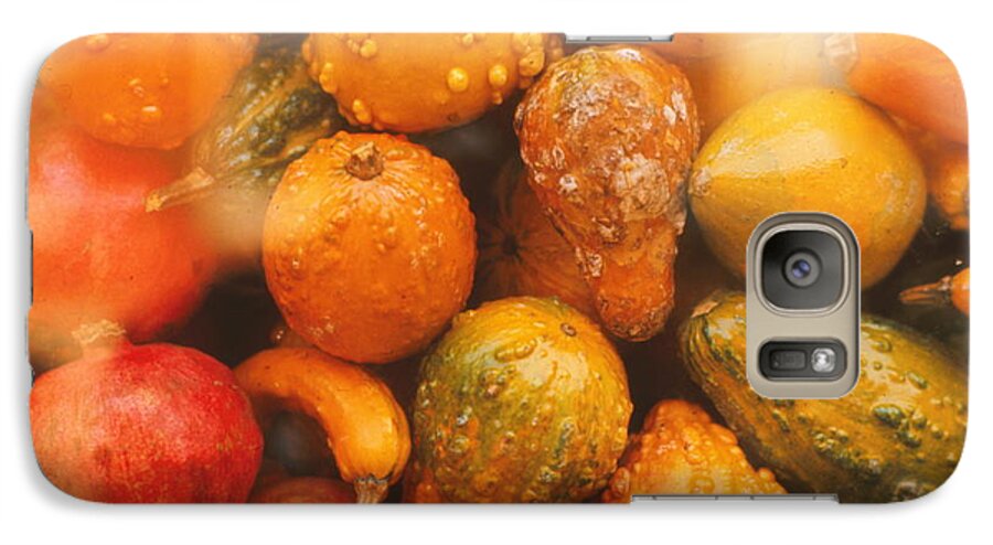 Fall Gourds Galaxy S7 Case featuring the photograph Gorgeous Gourds by Ira Shander