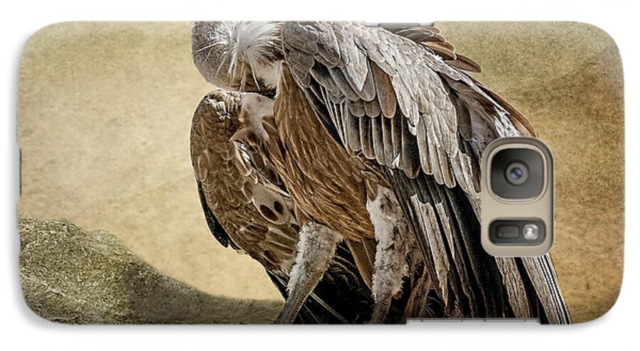 Vulture Galaxy S7 Case featuring the photograph Griffon Vulture by Brian Tarr