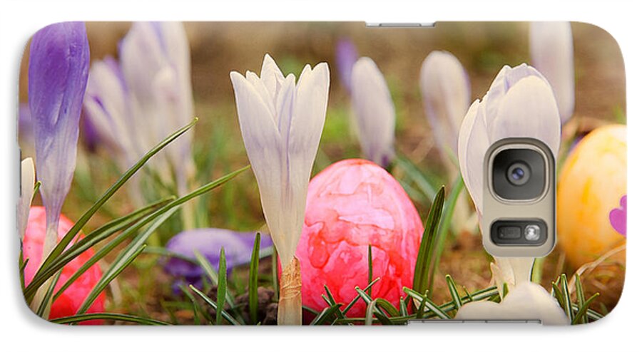 Easter Galaxy S7 Case featuring the photograph Happy Easter 2 by Christine Sponchia