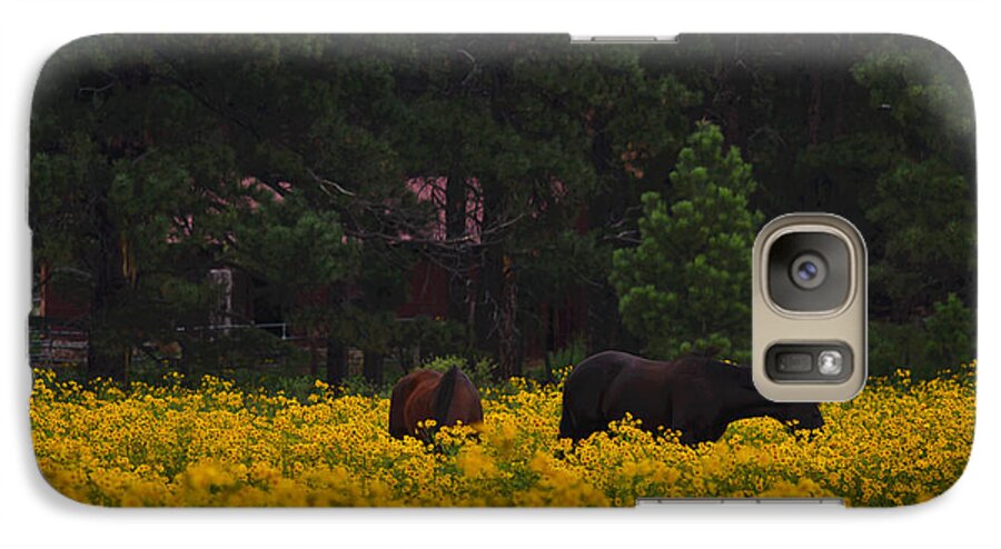 Horses Galaxy S7 Case featuring the photograph Happy Horses by Tom Kelly