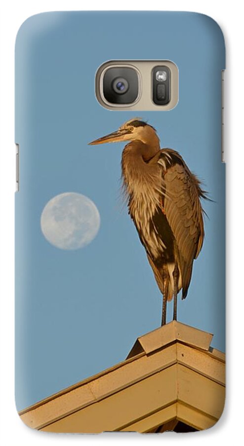 Nature Galaxy S7 Case featuring the photograph Harry the Heron Ponders a Trip to the Full Moon by Jeff at JSJ Photography