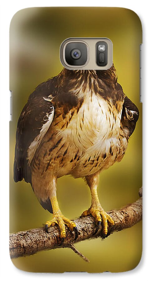 Animal Galaxy S7 Case featuring the photograph Hawk by Brian Cross