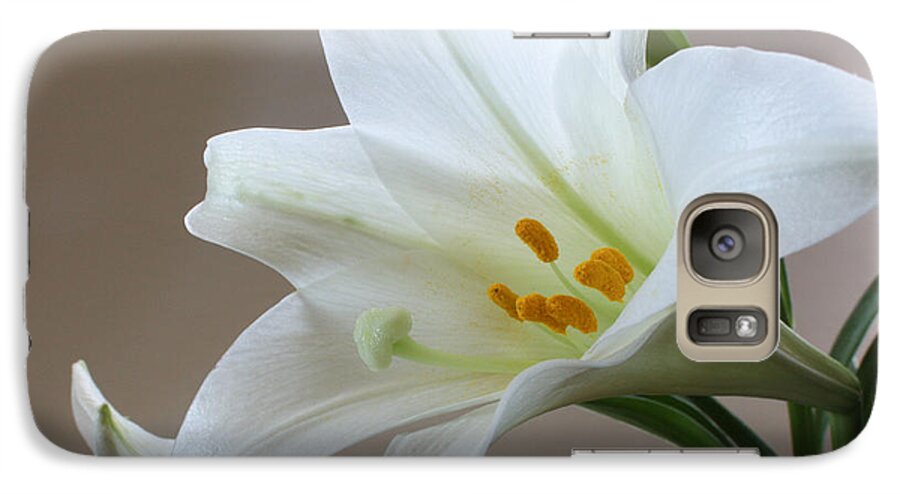 Lily Galaxy S7 Case featuring the photograph He is Risen by Anita Oakley