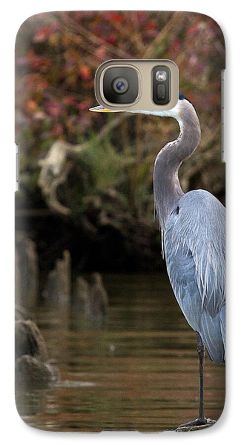 Heron Galaxy S7 Case featuring the photograph Heron Perch by Alan Raasch