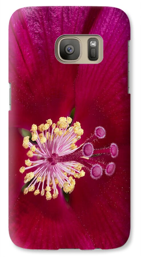 Hibiscus Galaxy S7 Case featuring the photograph Hibiscus Close Up - Phone Case Design by Gregory Scott