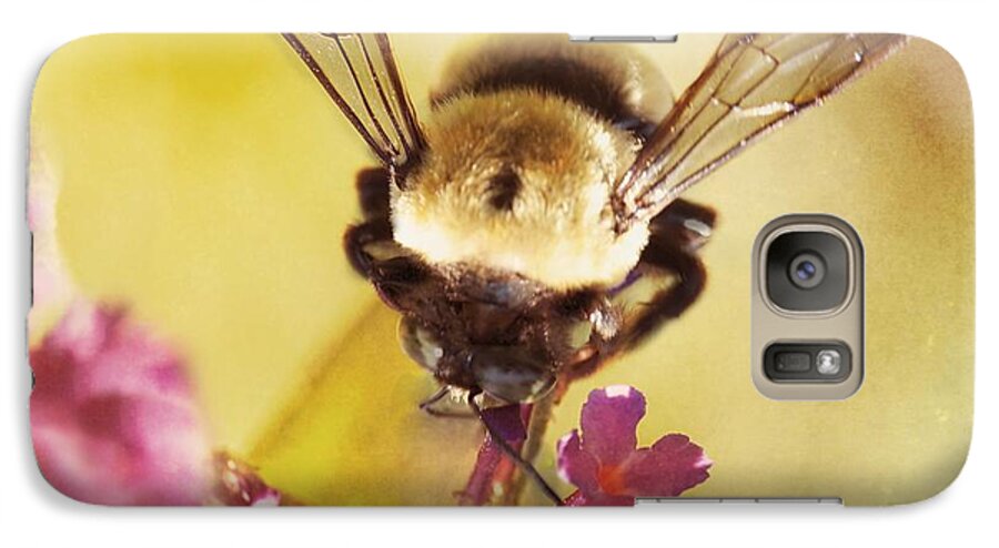 Bee Galaxy S7 Case featuring the photograph Honey Bee by Kim Fearheiley