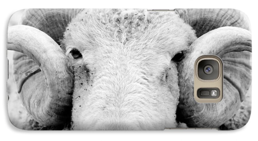 Ram Galaxy S7 Case featuring the photograph How Ewe Doin by Courtney Webster