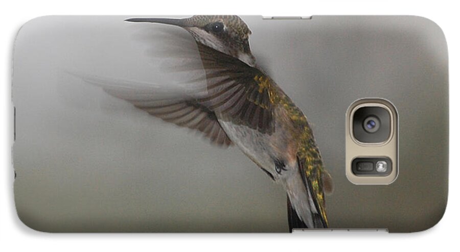Ruby Galaxy S7 Case featuring the photograph Hummingbird 6 by Leticia Latocki