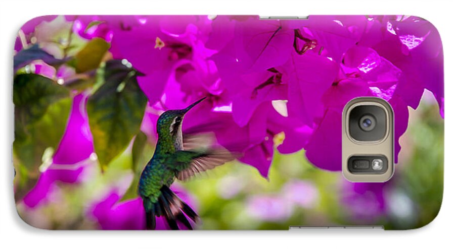 Hummingbird Galaxy S7 Case featuring the photograph Hummingbird in a Garden Paradise by Phil Abrams