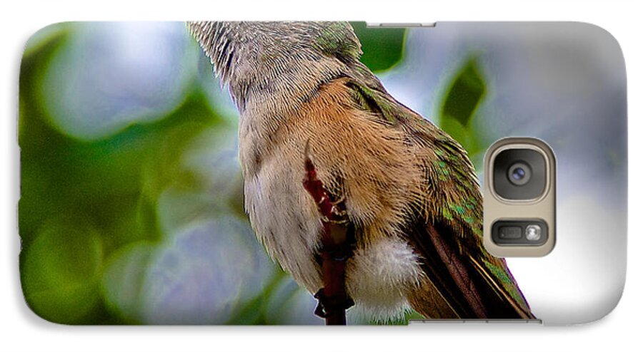 Hummingbird Galaxy S7 Case featuring the photograph Hummingbird on a Branch by Stephen Johnson