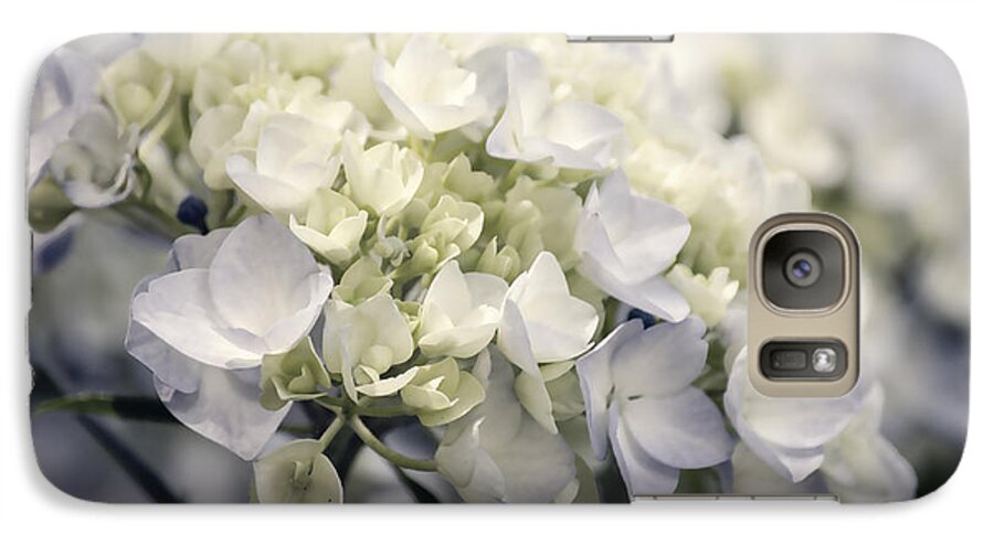 Purple Galaxy S7 Case featuring the photograph Hydrangea by Craig Perry-Ollila