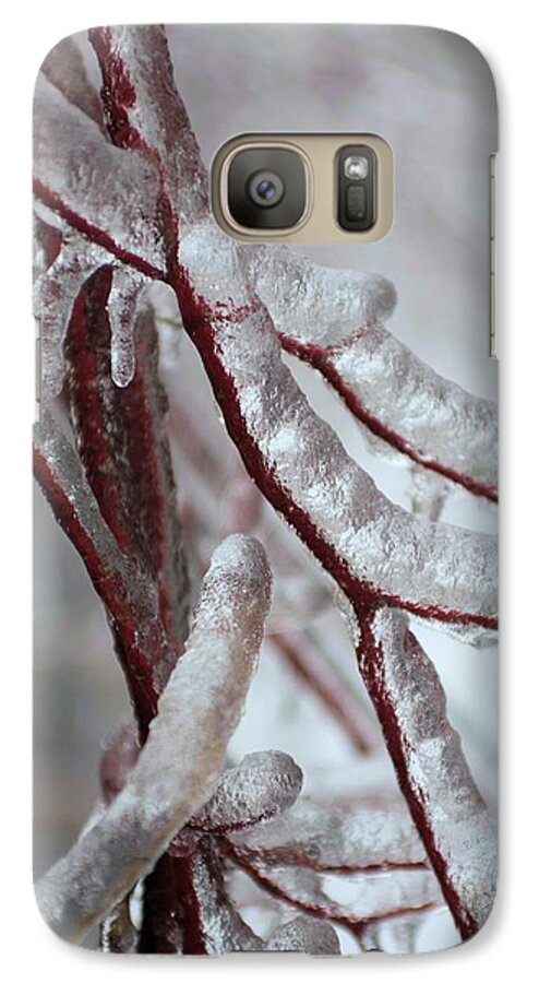 Tree Covered With Ice Galaxy S7 Case featuring the photograph Ice on tree by Douglas Pike