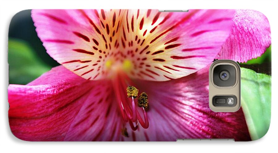 Lily Galaxy S7 Case featuring the photograph In the Pink by Judy Palkimas