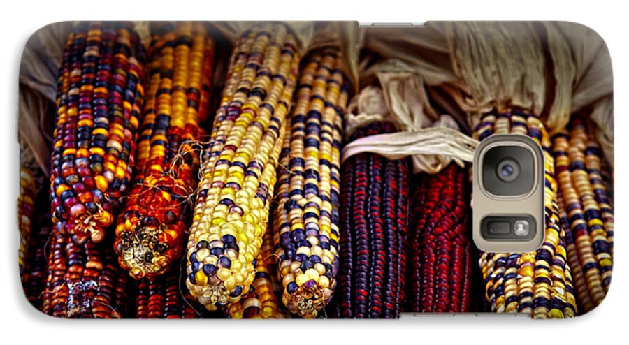 Corn Galaxy S7 Case featuring the photograph Indian corn by Elena Elisseeva