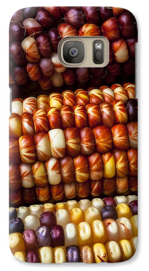  Indian Galaxy S7 Case featuring the photograph Indian Corn Harvest Time by Garry Gay