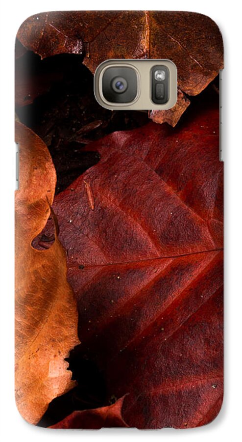 2013 Galaxy S7 Case featuring the photograph Intersection by Haren Images- Kriss Haren