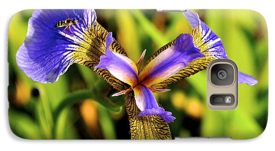 Iris Galaxy S7 Case featuring the photograph Iris by Cathy Mahnke