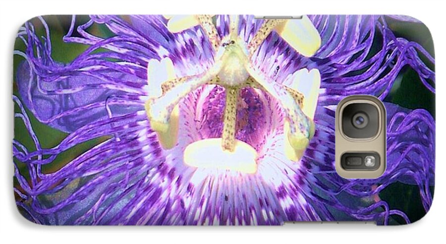 Passionflower Photo Altered Digitally Purple Ant Galaxy S7 Case featuring the photograph It's Always Something by Shirley Moravec