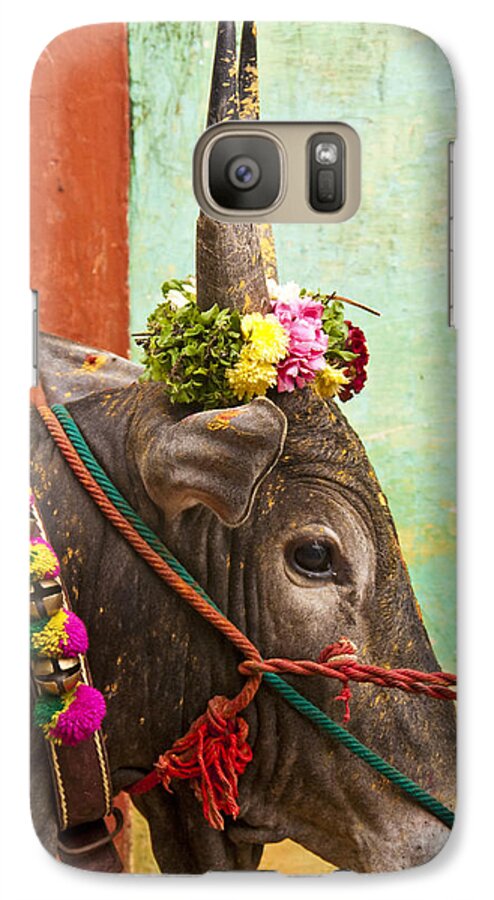 Bull Galaxy S7 Case featuring the photograph Jallikattu bull by Dennis Cox