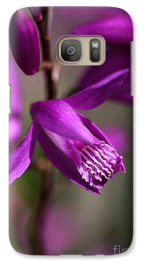 Asparagales Galaxy S7 Case featuring the photograph Japanese Orchid by Joy Watson