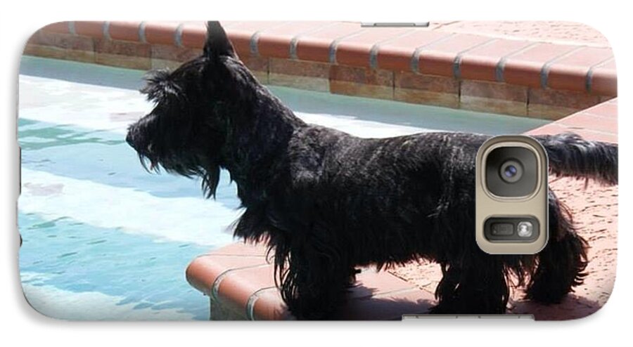Scottie Galaxy S7 Case featuring the photograph Joey at the Pool by Diane Ferguson